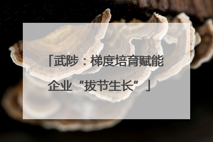 武陟：梯度培育赋能企业“拔节生长”