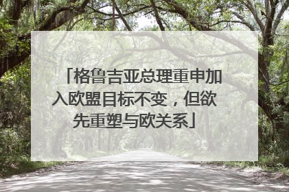 格鲁吉亚总理重申加入欧盟目标不变，但欲先重塑与欧关系