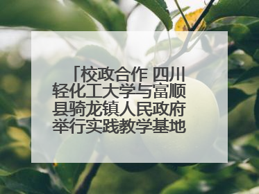 校政合作 四川轻化工大学与富顺县骑龙镇人民政府举行实践教学基地授牌仪式