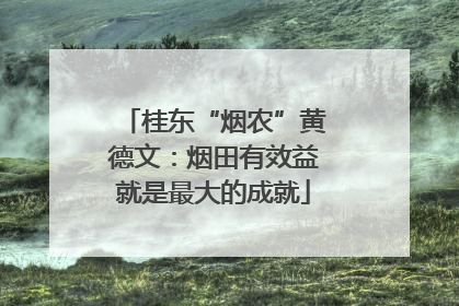 桂东“烟农”黄德文：烟田有效益就是最大的成就