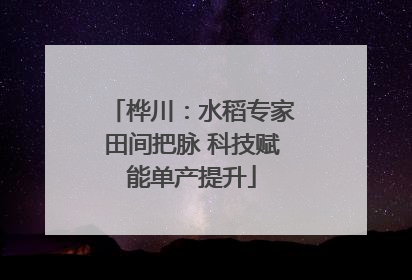 桦川：水稻专家田间把脉 科技赋能单产提升