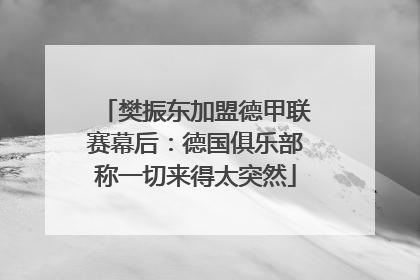 樊振东加盟德甲联赛幕后：德国俱乐部称一切来得太突然