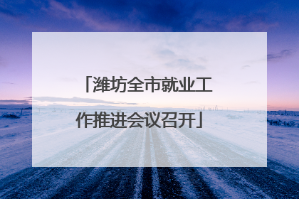 潍坊全市就业工作推进会议召开