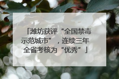 潍坊获评“全国禁毒示范城市”，连续三年全省考核为“优秀”