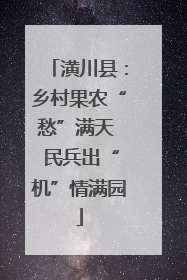 潢川县：乡村果农“愁”满天  民兵出“机”情满园