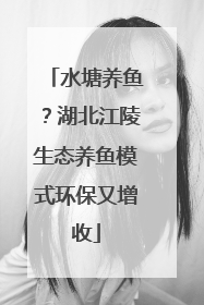 水塘养鱼？湖北江陵生态养鱼模式环保又增收