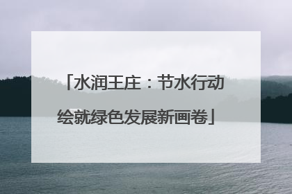 水润王庄：节水行动绘就绿色发展新画卷
