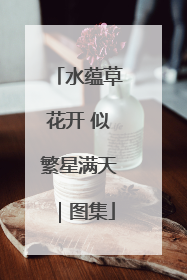 水蕴草花开 似繁星满天｜图集