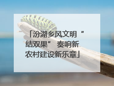 汾湖乡风文明“结双果” 奏响新农村建设新乐章
