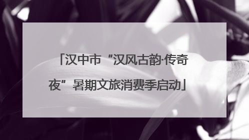 汉中市“汉风古韵·传奇夜”暑期文旅消费季启动