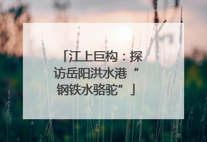江上巨构：探访岳阳洪水港“钢铁水骆驼”