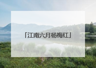 江南六月杨梅红
