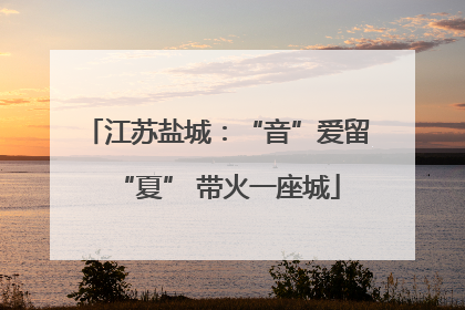 江苏盐城：“音”爱留“夏” 带火一座城