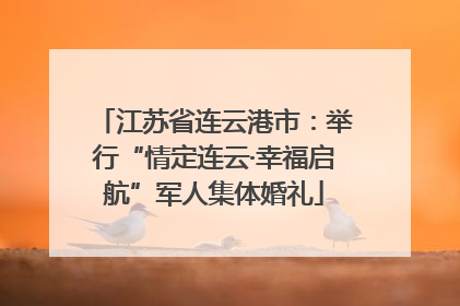 江苏省连云港市：举行“情定连云·幸福启航”军人集体婚礼