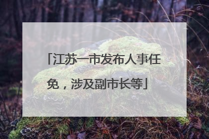 江苏一市发布人事任免，涉及副市长等