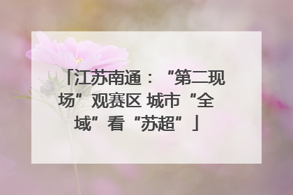 江苏南通：“第二现场”观赛区 城市“全域”看“苏超”