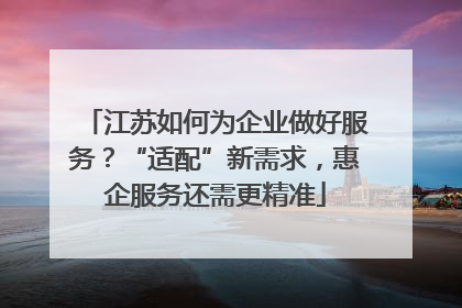 江苏如何为企业做好服务？“适配”新需求，惠企服务还需更精准