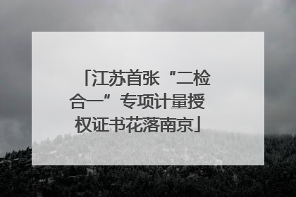 江苏首张“二检合一”专项计量授权证书花落南京