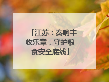 江苏：奏响丰收乐章，守护粮食安全底线