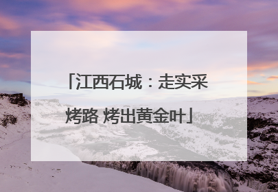 江西石城：走实采烤路 烤出黄金叶