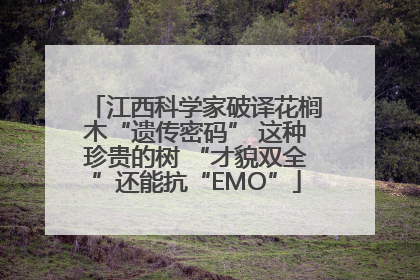 江西科学家破译花榈木“遗传密码” 这种珍贵的树 “才貌双全”还能抗“EMO”