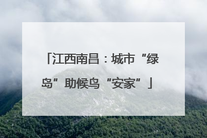 江西南昌：城市“绿岛”助候鸟“安家”