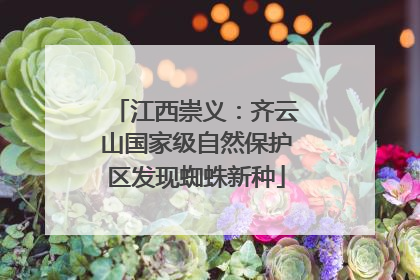 江西崇义：齐云山国家级自然保护区发现蜘蛛新种