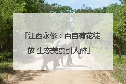 江西永修：百亩荷花绽放 生态美景引人醉