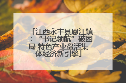 江西永丰县恩江镇：“书记领航”破困局 特色产业盘活集体经济新引擎