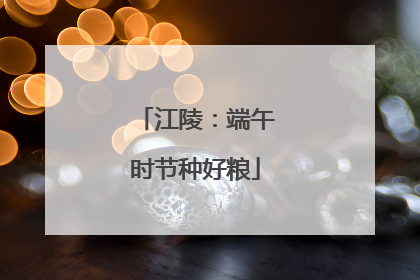 江陵：端午时节种好粮