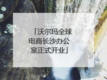 沃尔玛全球电商长沙办公室正式开业
