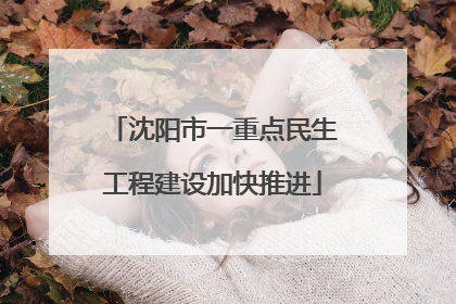 沈阳市一重点民生工程建设加快推进