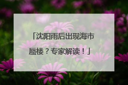 沈阳雨后出现海市蜃楼？专家解读！