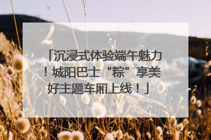 沉浸式体验端午魅力！城阳巴士“粽”享美好主题车厢上线！