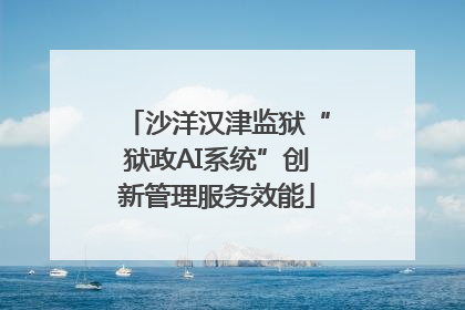 沙洋汉津监狱“狱政AI系统”创新管理服务效能