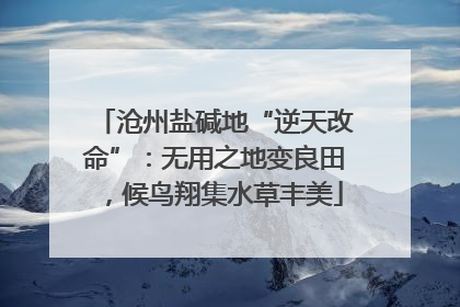 沧州盐碱地“逆天改命”：无用之地变良田，候鸟翔集水草丰美