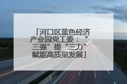 河口区蓝色经济产业园党工委：“三强”提“三力”赋能高质量发展