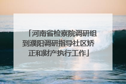 河南省检察院调研组到濮阳调研指导社区矫正和财产执行工作