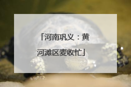 河南巩义：黄河滩区麦收忙