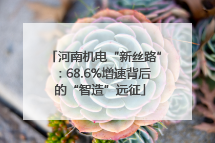 河南机电“新丝路”：68.6%增速背后的“智造”远征