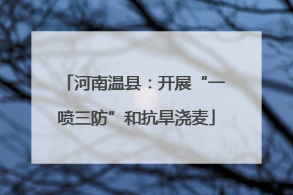 河南温县：开展“一喷三防”和抗旱浇麦