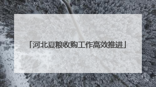 河北夏粮收购工作高效推进
