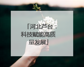 河北芦台：科技赋能高质量发展