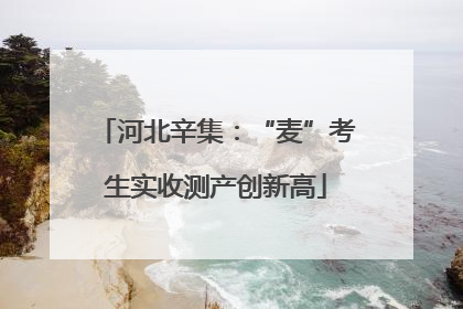 河北辛集：“麦”考生实收测产创新高