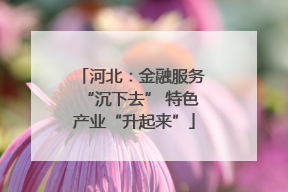 河北：金融服务“沉下去” 特色产业“升起来”