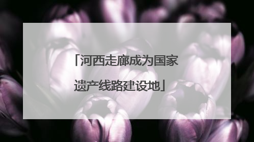 河西走廊成为国家遗产线路建设地