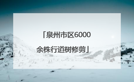 泉州市区6000余株行道树修剪