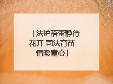 法护蓓蕾静待花开 司法育苗情暖童心