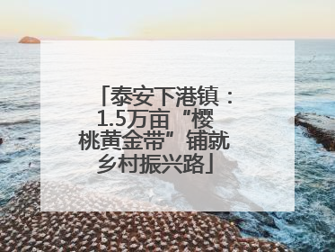 泰安下港镇：1.5万亩“樱桃黄金带”铺就乡村振兴路