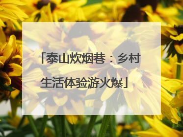 泰山炊烟巷：乡村生活体验游火爆